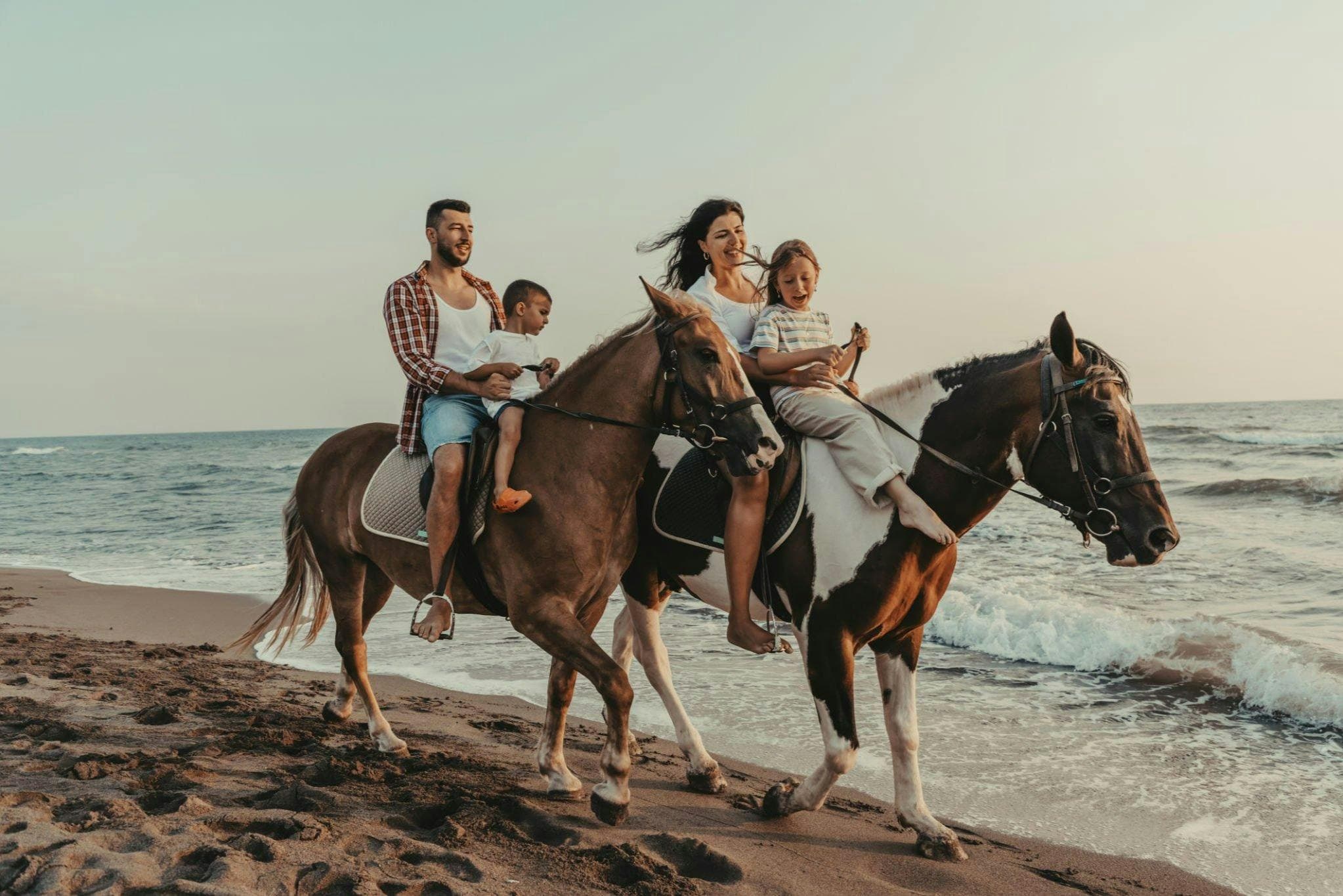 Horse Riding Tour: Sea and Desert with Transfer - Hurghada