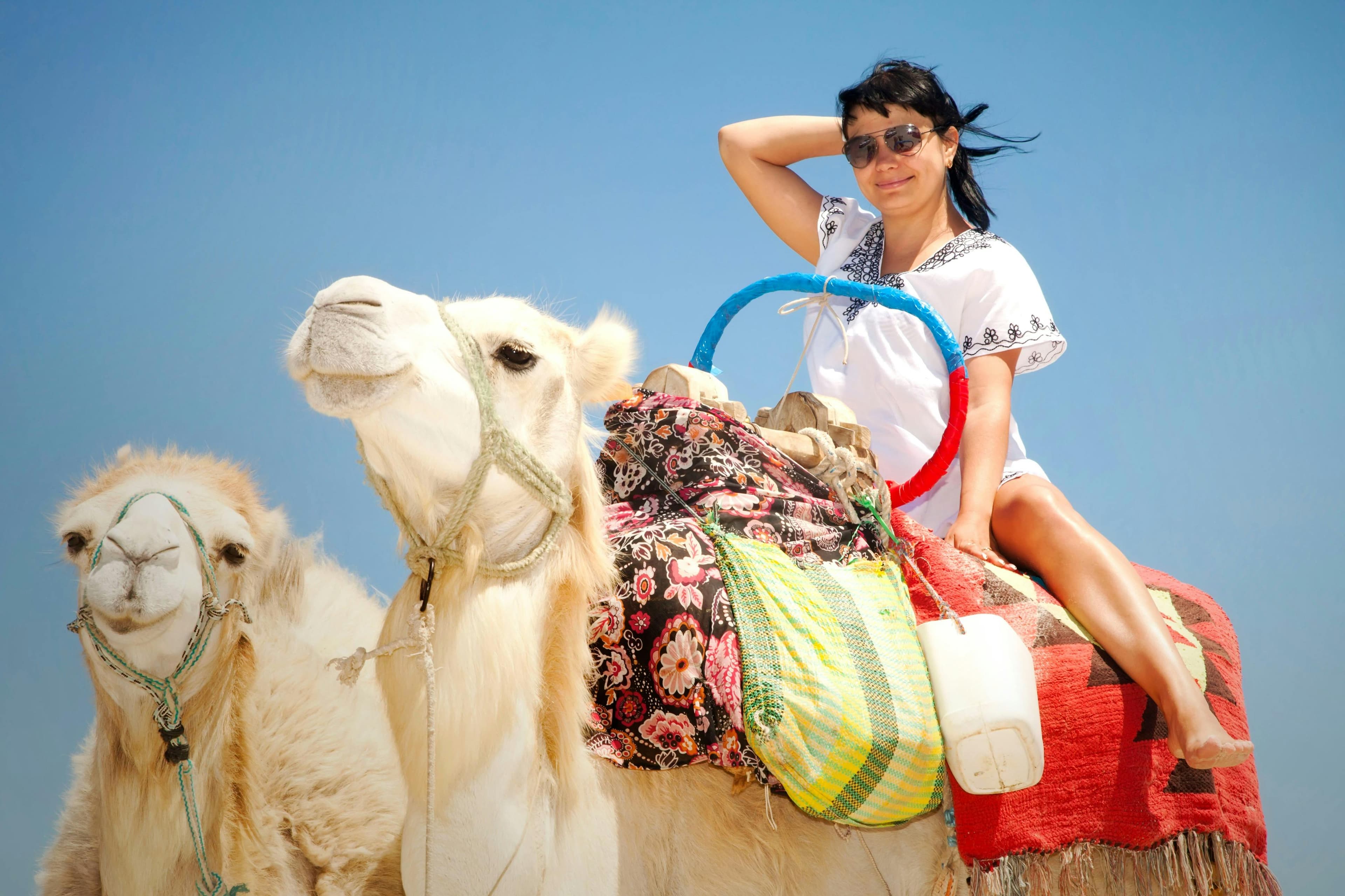 Hurghada: 1-Hr Guided Camel Ride + Transfer