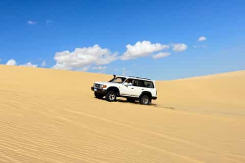 From Cairo: Desert Safari, Camel Ride, Magic Lake, & Lunch