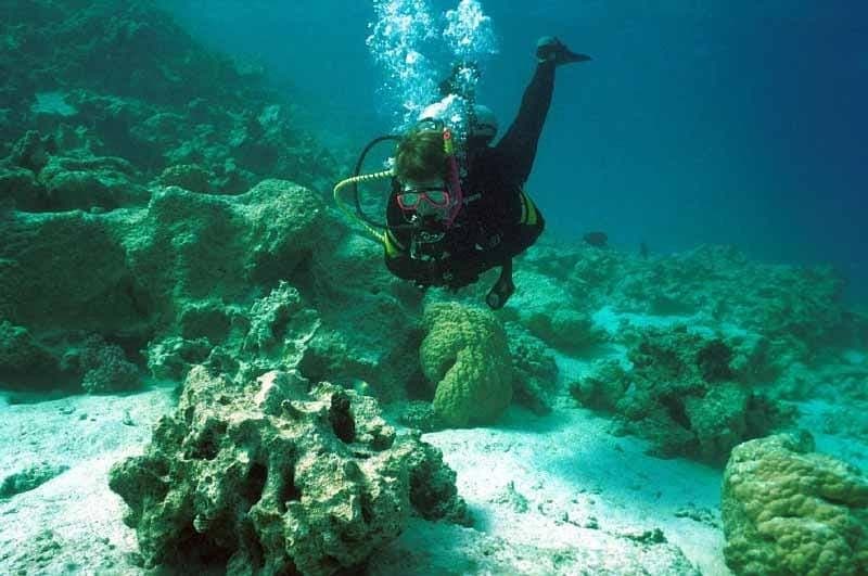 Hurghada, Professionals Diving in Open Water Tour with Lunch