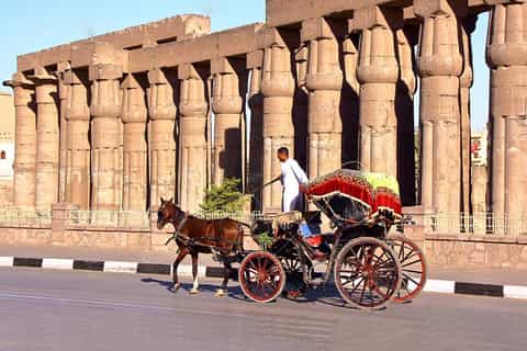 Horse-Drawn Carriage City Tour from West Bank