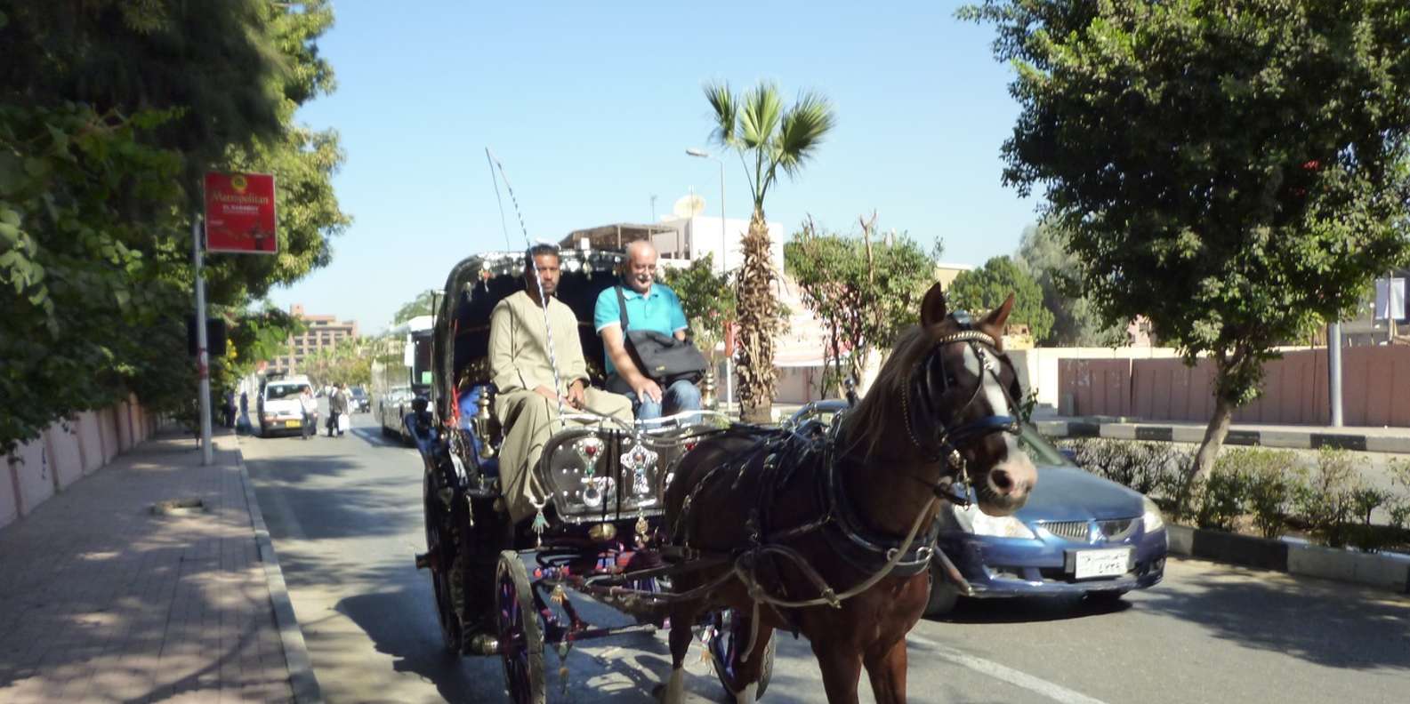 Luxor City Tour by Horse Carriage Visit Local