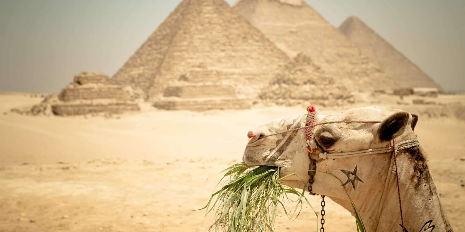 Cairo: Pyramid Tour, Boat Ride and Lunch at Cafelucca
