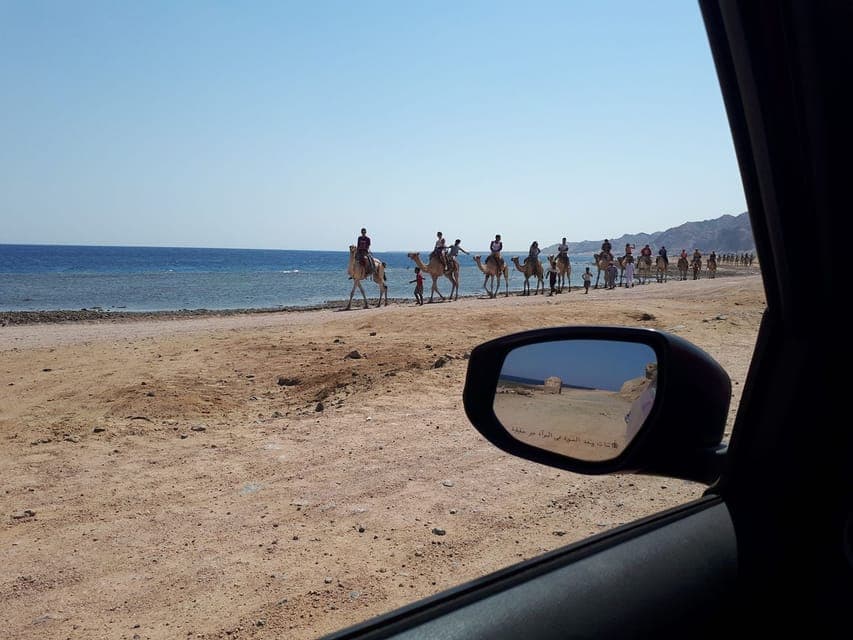 From Sharm El Sheikh: Full Day In Dahab with Snorkeling