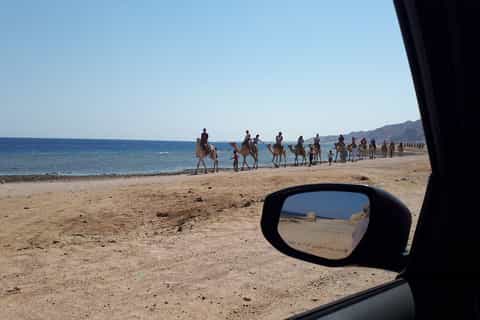 From Sharm El Sheikh: Full Day In Dahab with Snorkeling