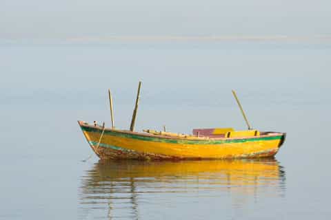 From Cairo: Fayoum Oasis and Wadi Al Rayan Guided Tour