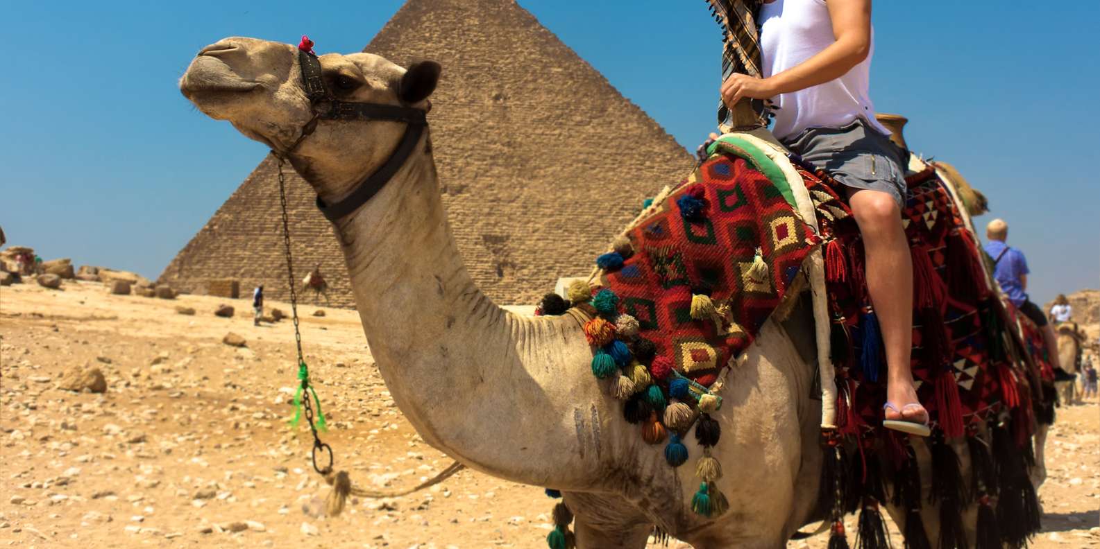 From Eilat: Cairo Private 1-Day Tour