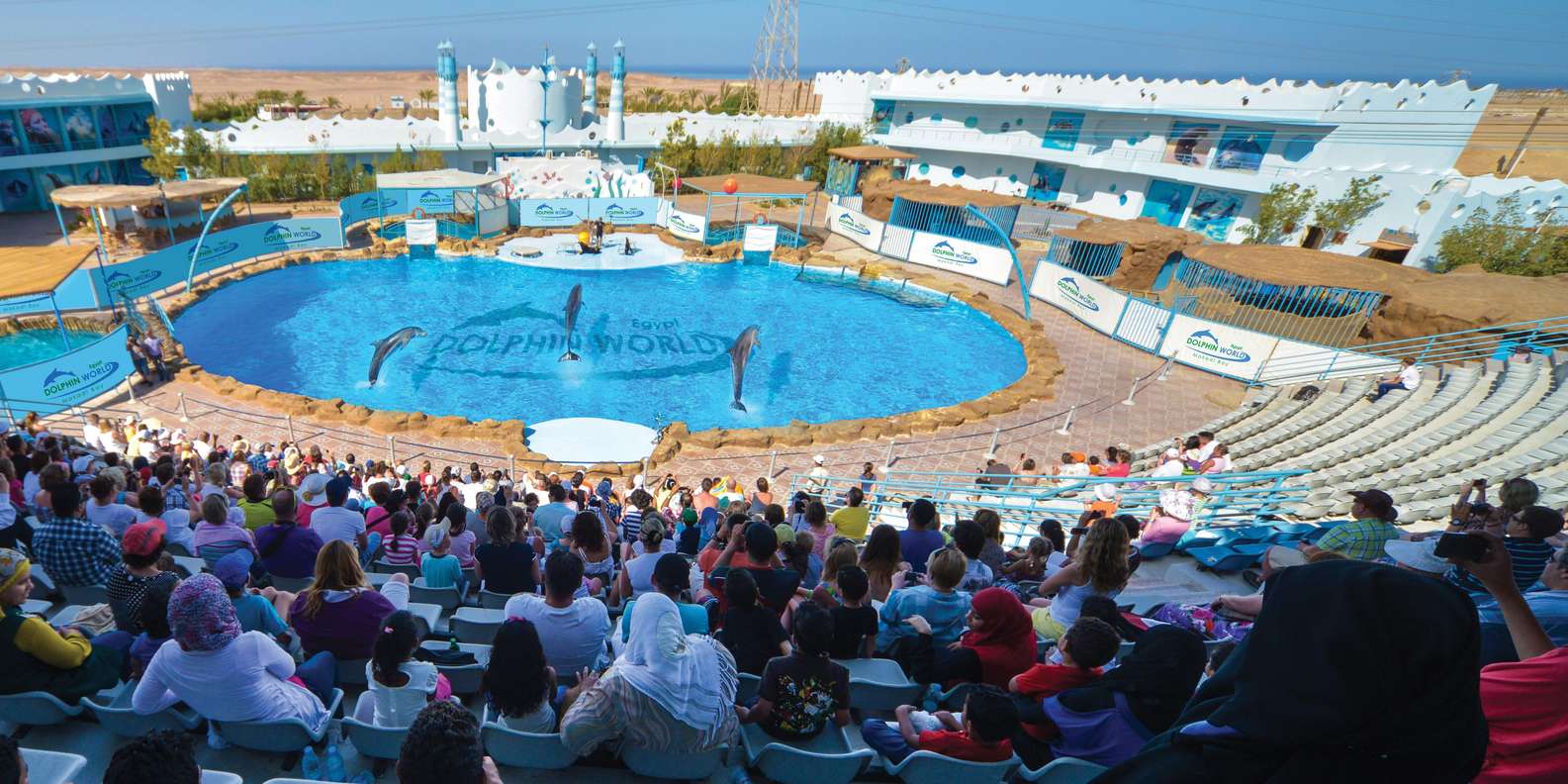 Hurghada: Dolphin World Show with Walruses and Pickup