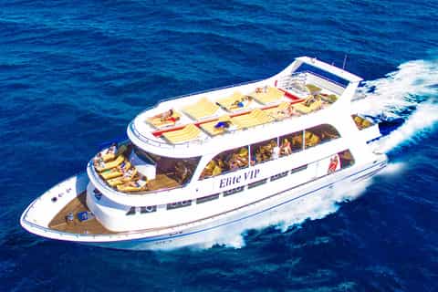 Marsa Alam: Elite vip Turtle bay snorkeling with BBQ Lunch