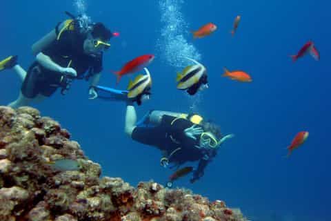 Hurghada Scuba Diving Trip with Pick-up, Lunch