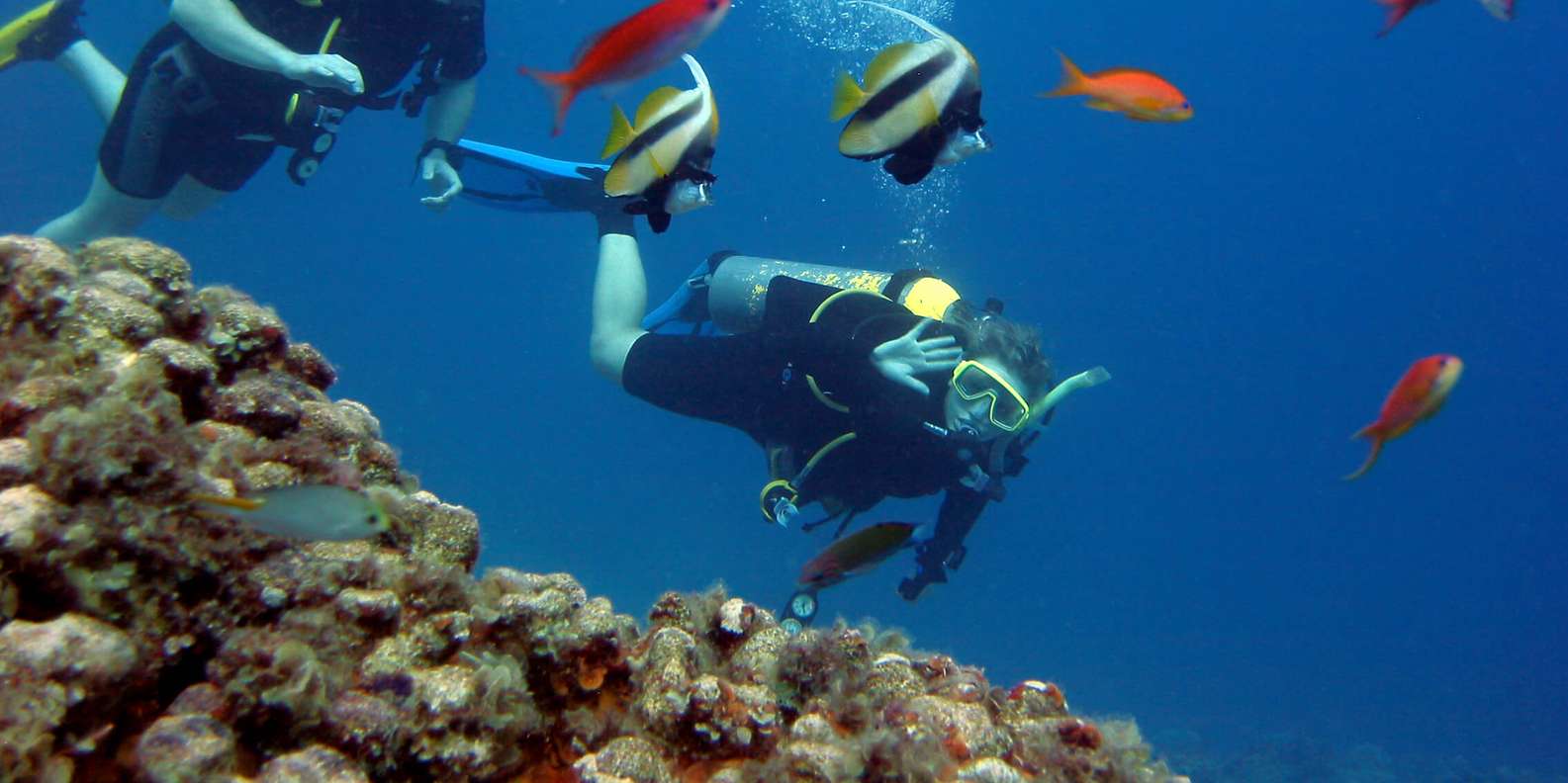 Hurghada Scuba Diving Trip with Pick-up, Lunch
