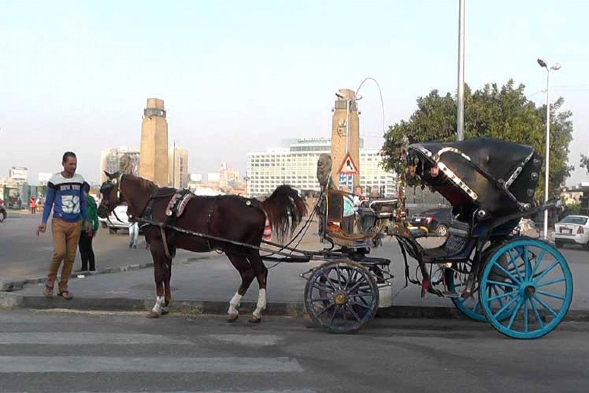 Private Cairo City Tour Day or Night include Meal and Carriage Horse