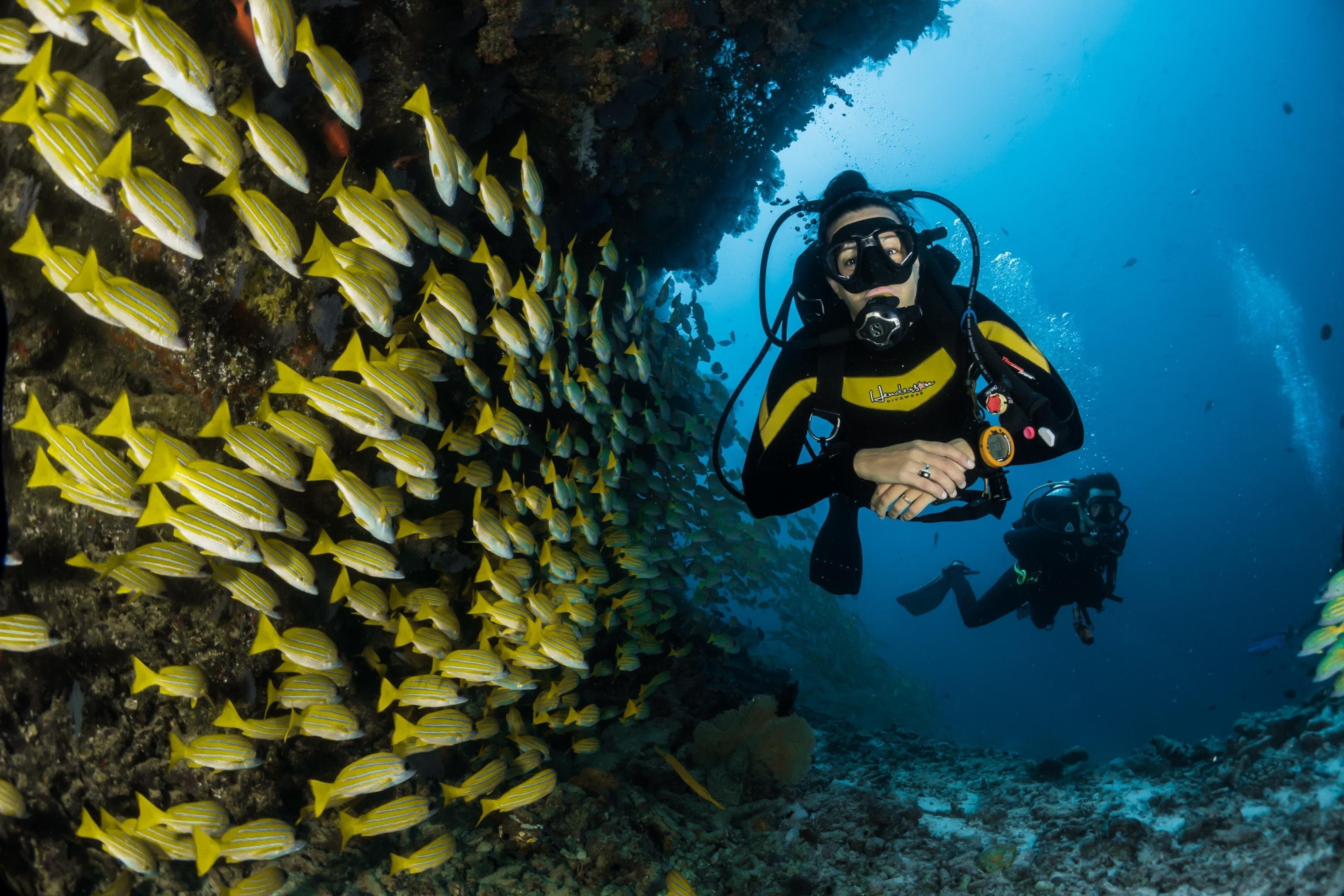 Diving Tour at Ras Mohammed by boat