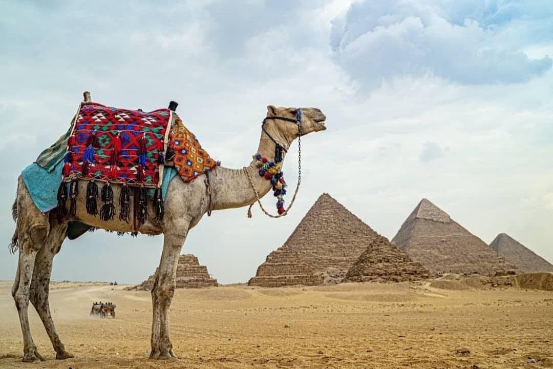 Private Tour To Giza Pyramids,Sphinx,panorama & Lunch
