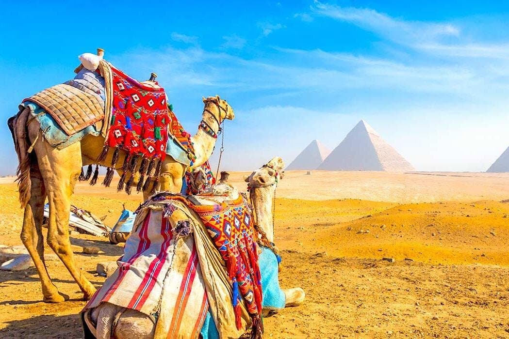 Grand Egyptian Museum and Pyramids