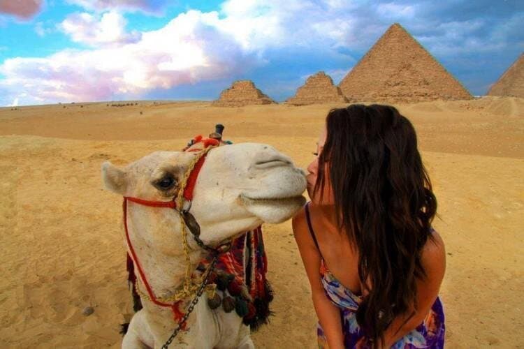 Private Day Tour to Giza pyramids and the Egyptian museum from Alexandria by car