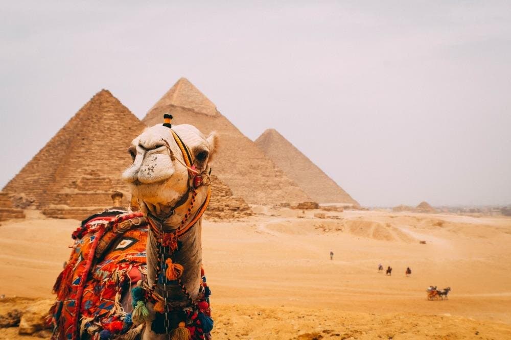 6 Hour Private Tour in Giza Pyramids, Citadel and Coptic Cairo