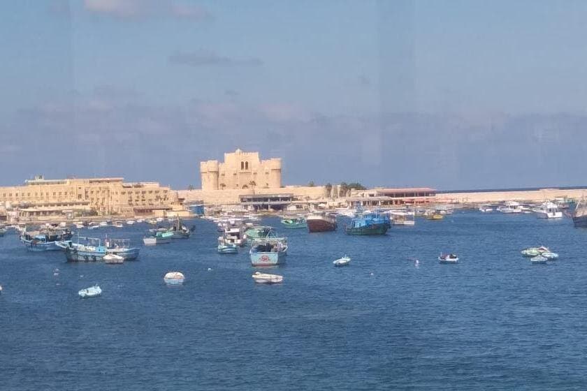 يوم كامل خاص: جولة نهارية في الإسكندرية من القاهرة بالسيارة مع مرشد خاص