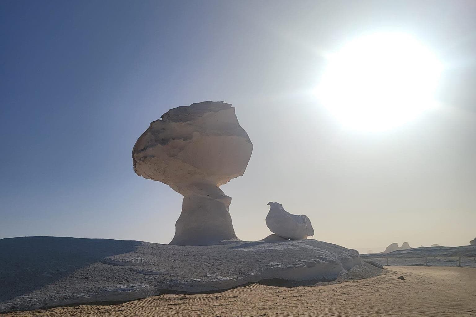 2 Days Camping at Bahariya Oasis