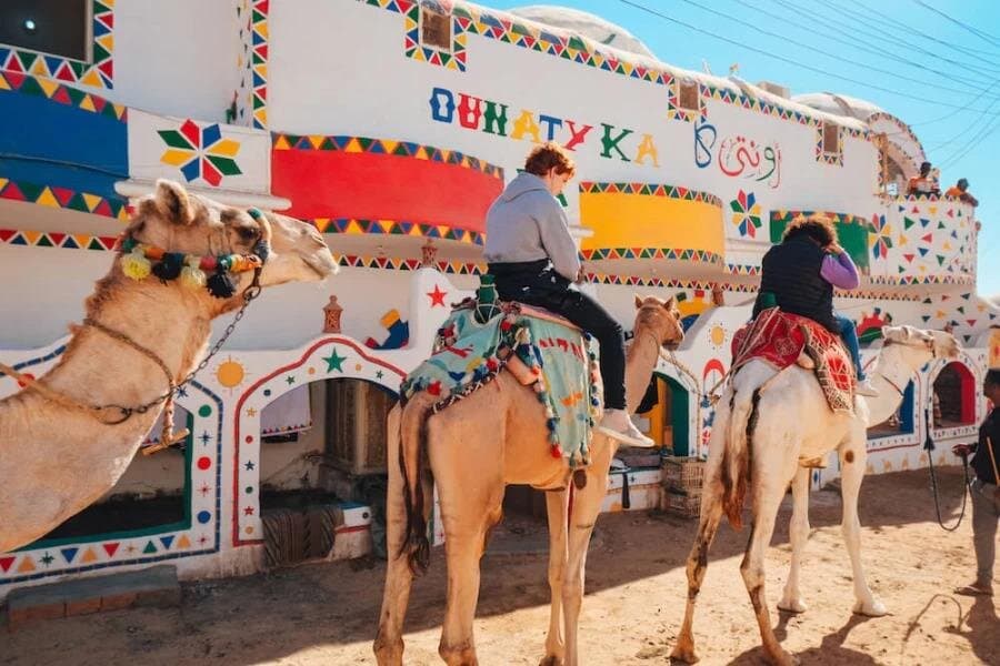 Explore the Best of Aswan on a Full-Day Guided Trip