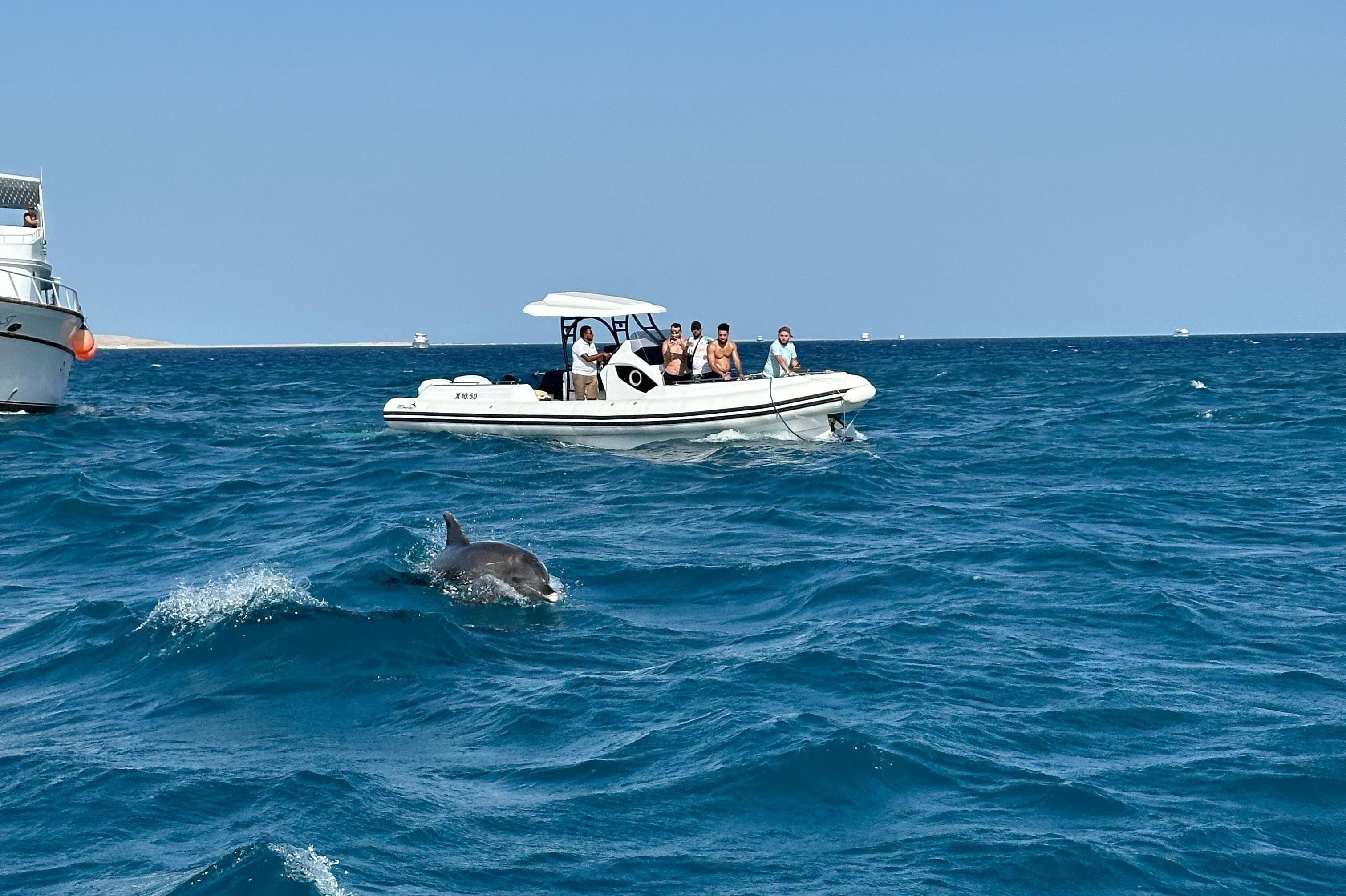 Private Speedboat – Snorkeling & Dolphin Watching & Abu Monkar