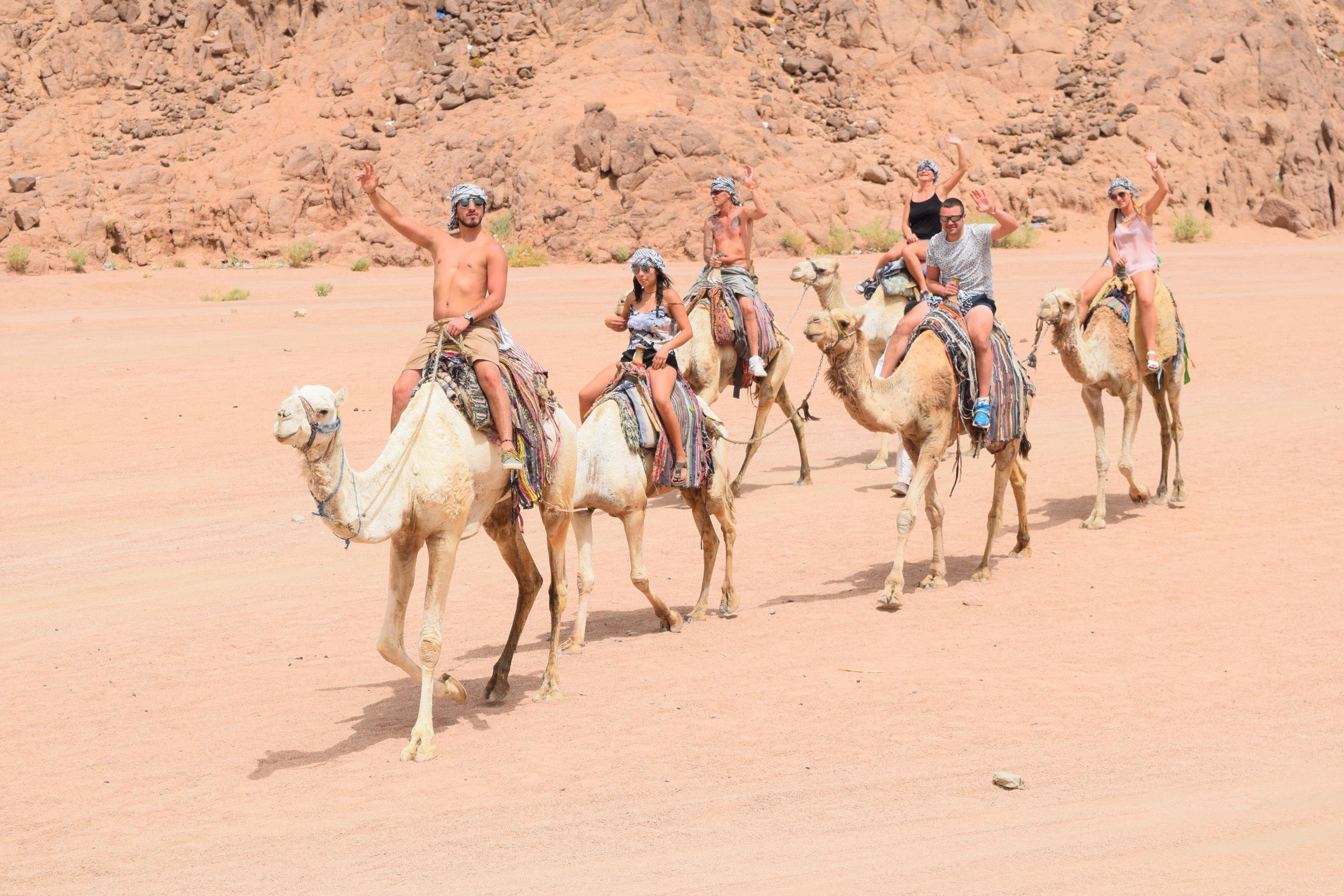 رحلة على ظهر الجمال، وعشاء بدوي، ومشاهدة النجوم في رحلة سفاري بسيارة جيب رباعية الدفع في الغردقة