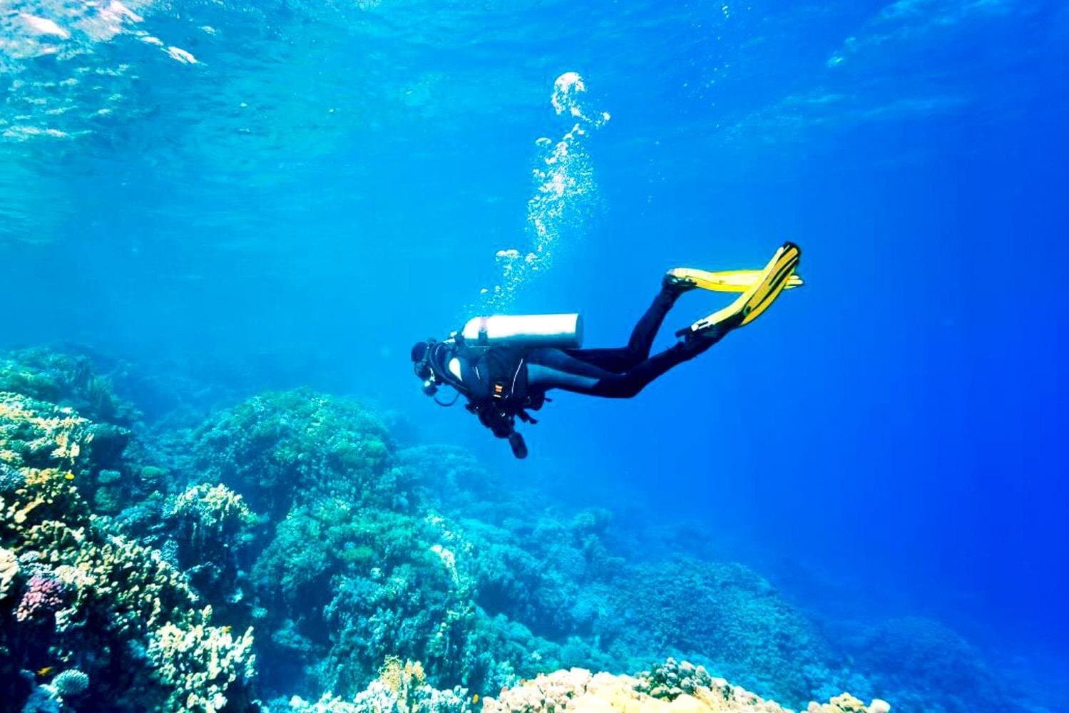 Scuba Diving Experience with Lunch & Transfer from Hurghada