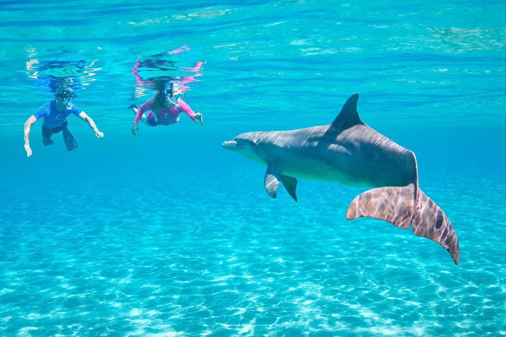 海豚屋浮潜海上之旅 终极探险 赫尔格达
