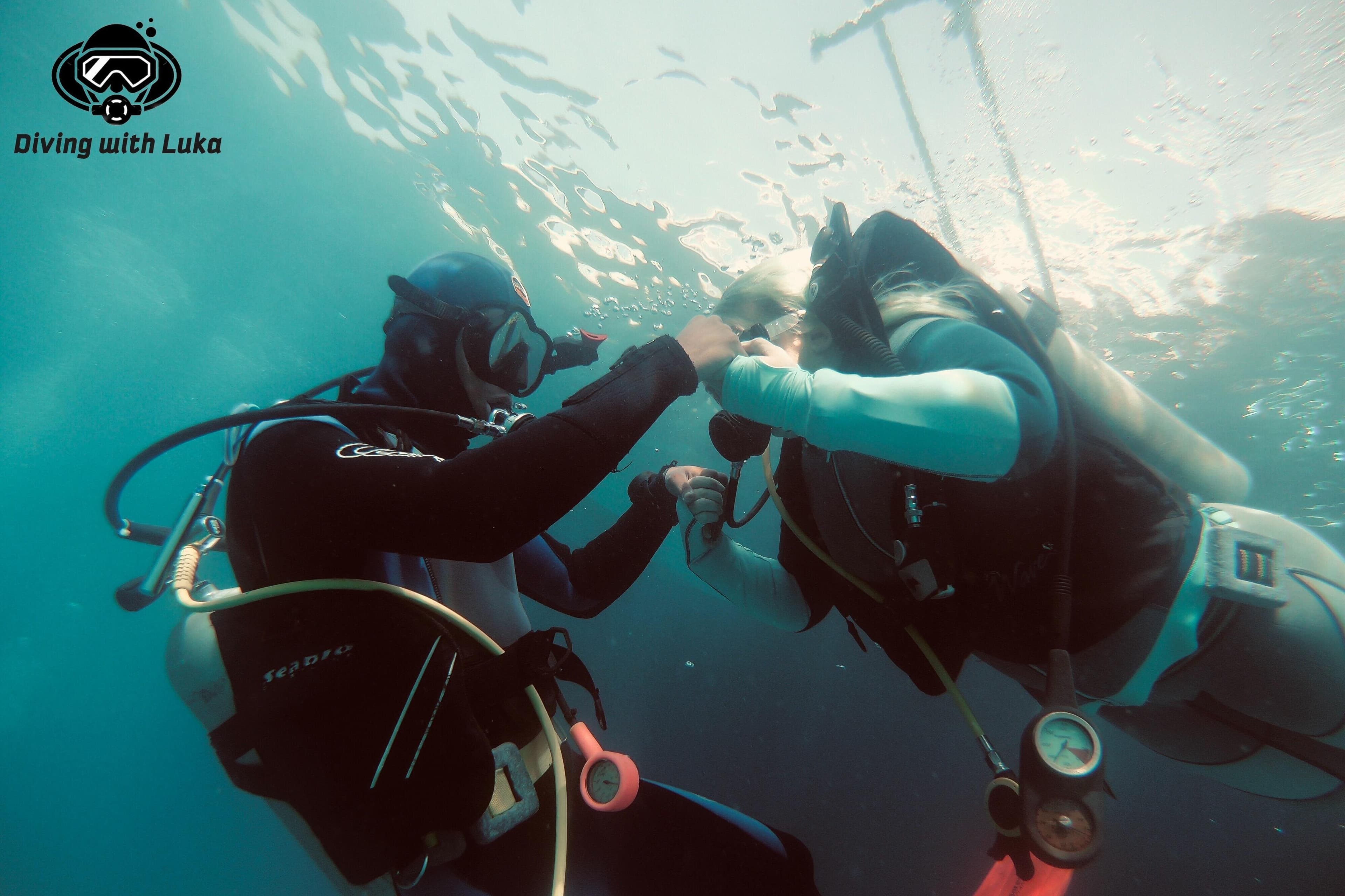 Full day diving with private guide, lunch drinks transportation