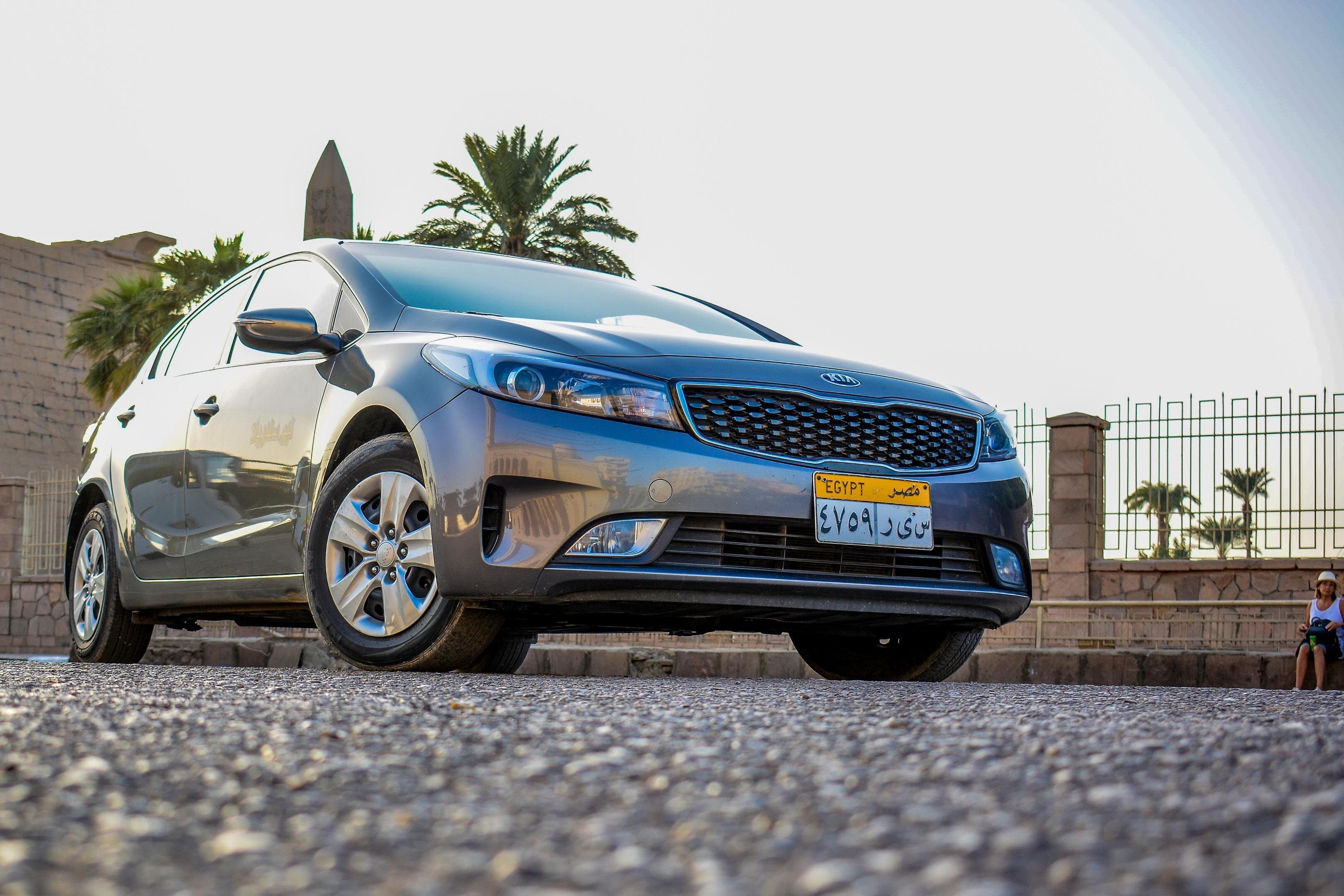 Private One-Way Transfer Between Marsa Alam Airport & Hotels