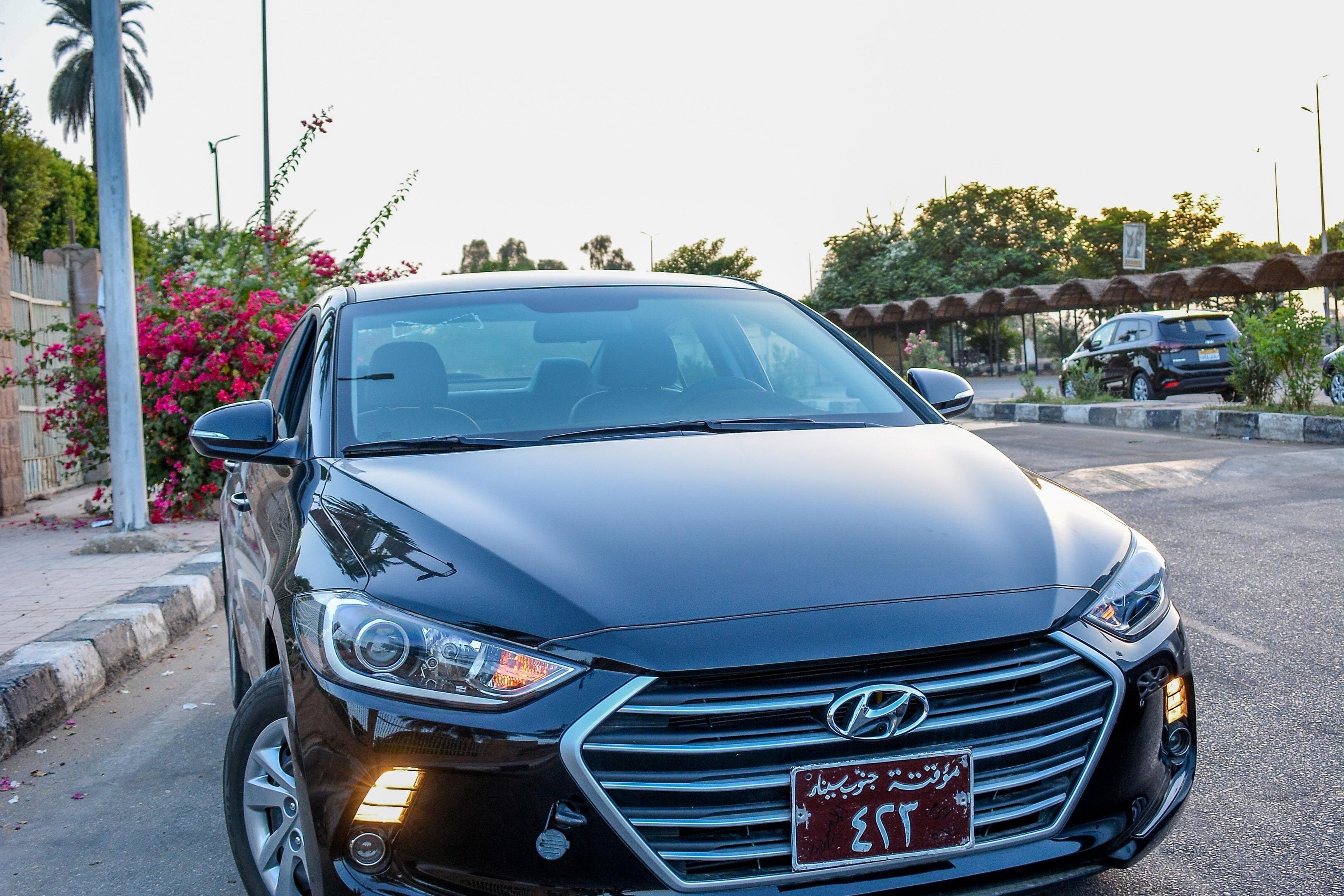 Private transfer from Hotel To Aswan Airport