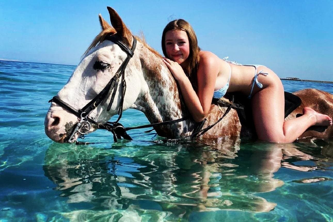 Swimming by Horse 3 Hours ,Beach, Desert, transfer - Hurghada