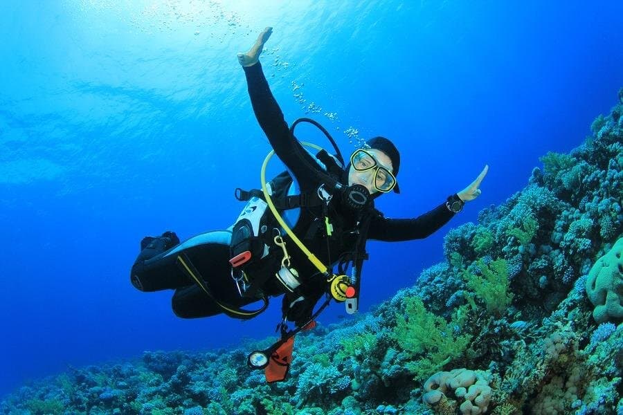 Tiran Island Trip, Snorkeling, Single Dive &Lunch–Sharm El Sheikh