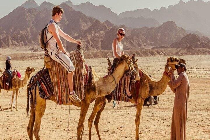 Bedouin Village Super safari Quad with Dinner & Show : Marsa Alam