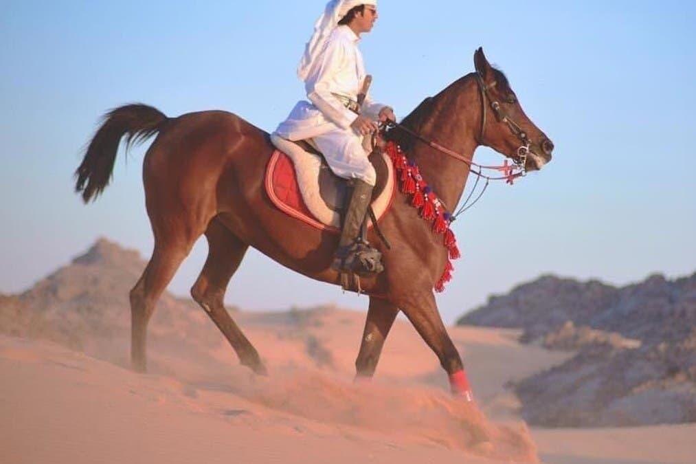 Horse Riding 1-Hour Adventure Trip With Transfer - Hurghada