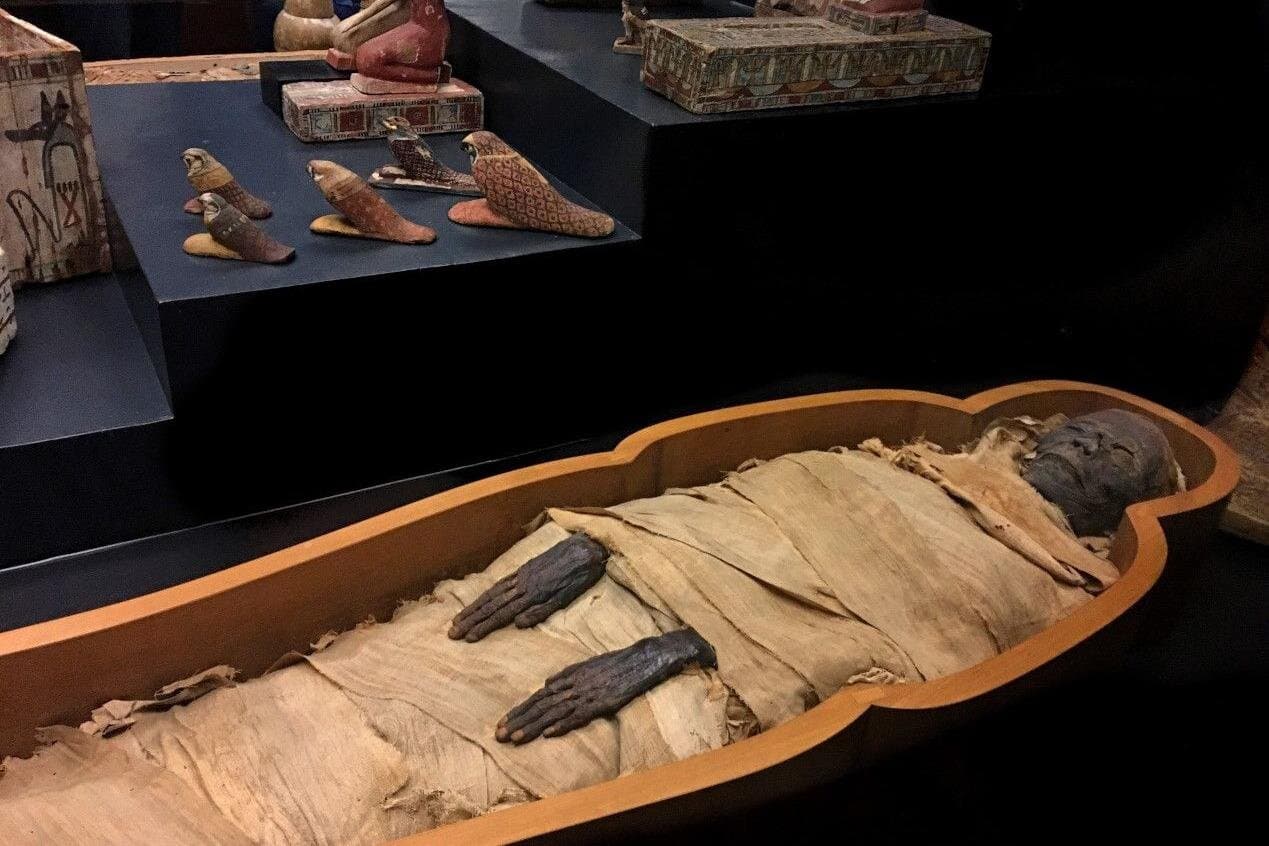 Luxor Full Day Tour- Luxor & Mummification Museum with Temples of Karnak & Luxor