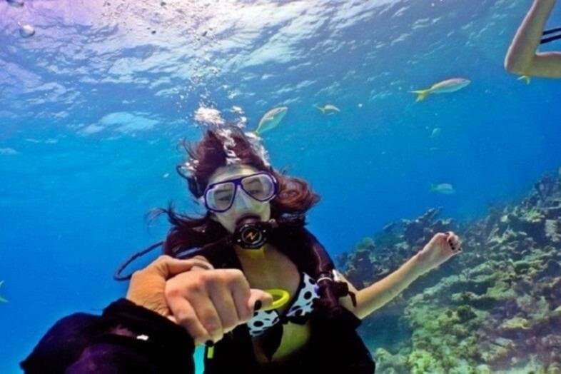 Beginners Scuba Diving Boat Trip 2 Stops with Lunch : Marsa Alam