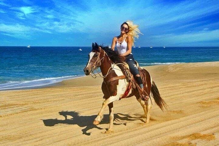One Hour Horse Riding on the Beach in Sharm El-Sheikh