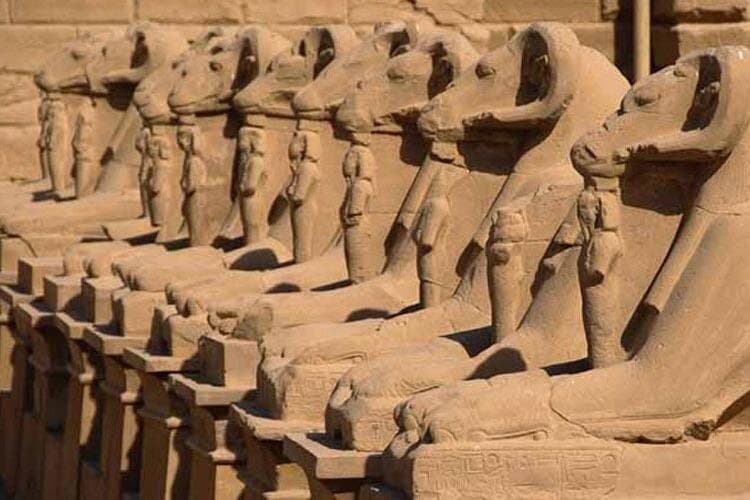 Day Tour To Luxor From Marsa Alam private by car