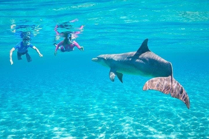 Explore Satayeh Reef on a Marsa Alam snorkeling trip
