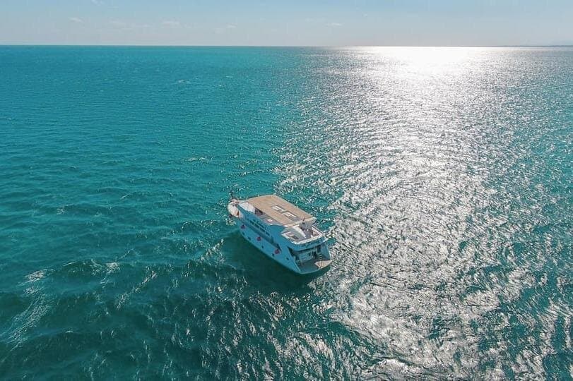 Marsa Alam Dolphin Watching with Snorkeling and Lunch