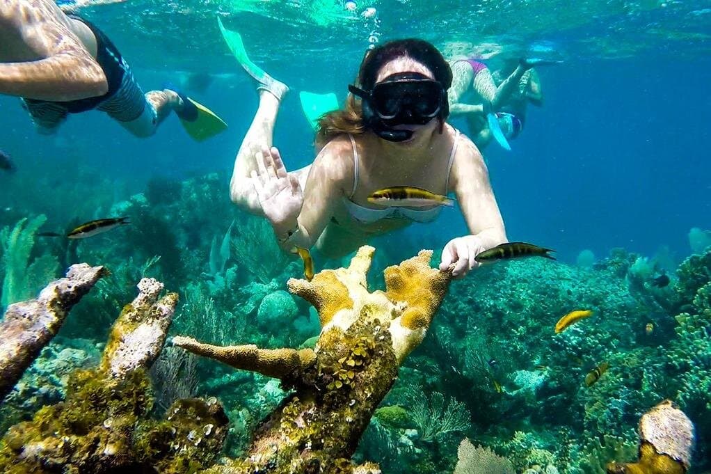 Marsa Allam Snorkeling Activity with Lunch