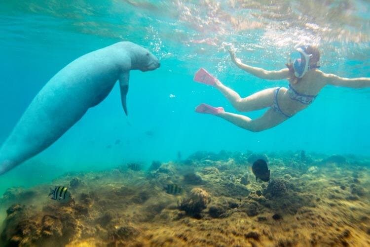 Marsa Alam: Discover Snorkeling Magic at Abu Dabab Beach