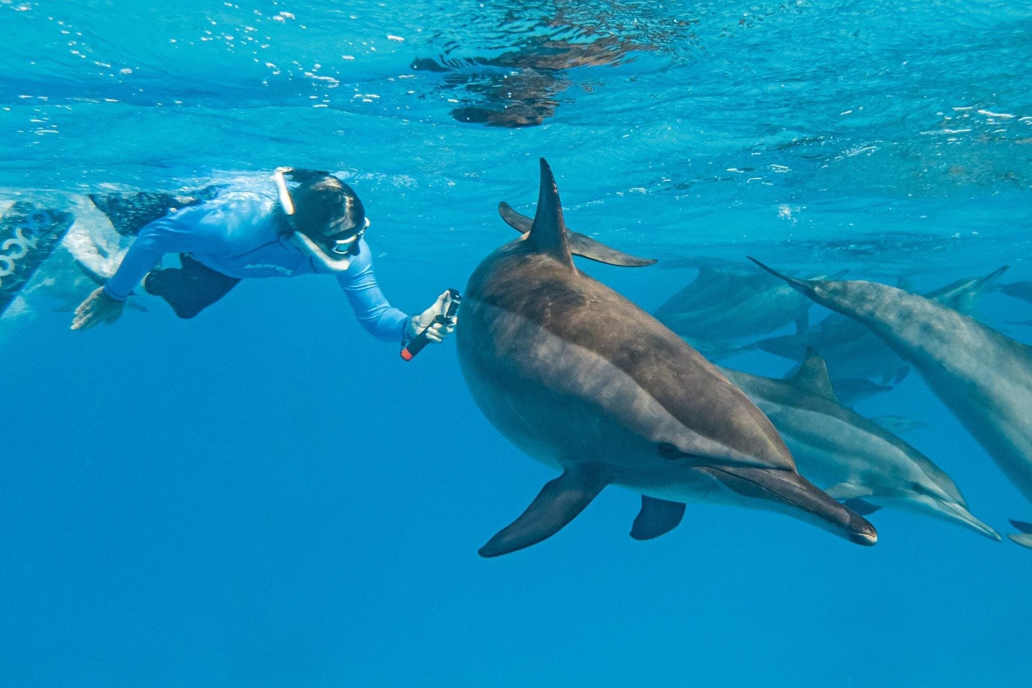 Marsa Alam Reef Diving & Snorkel Day