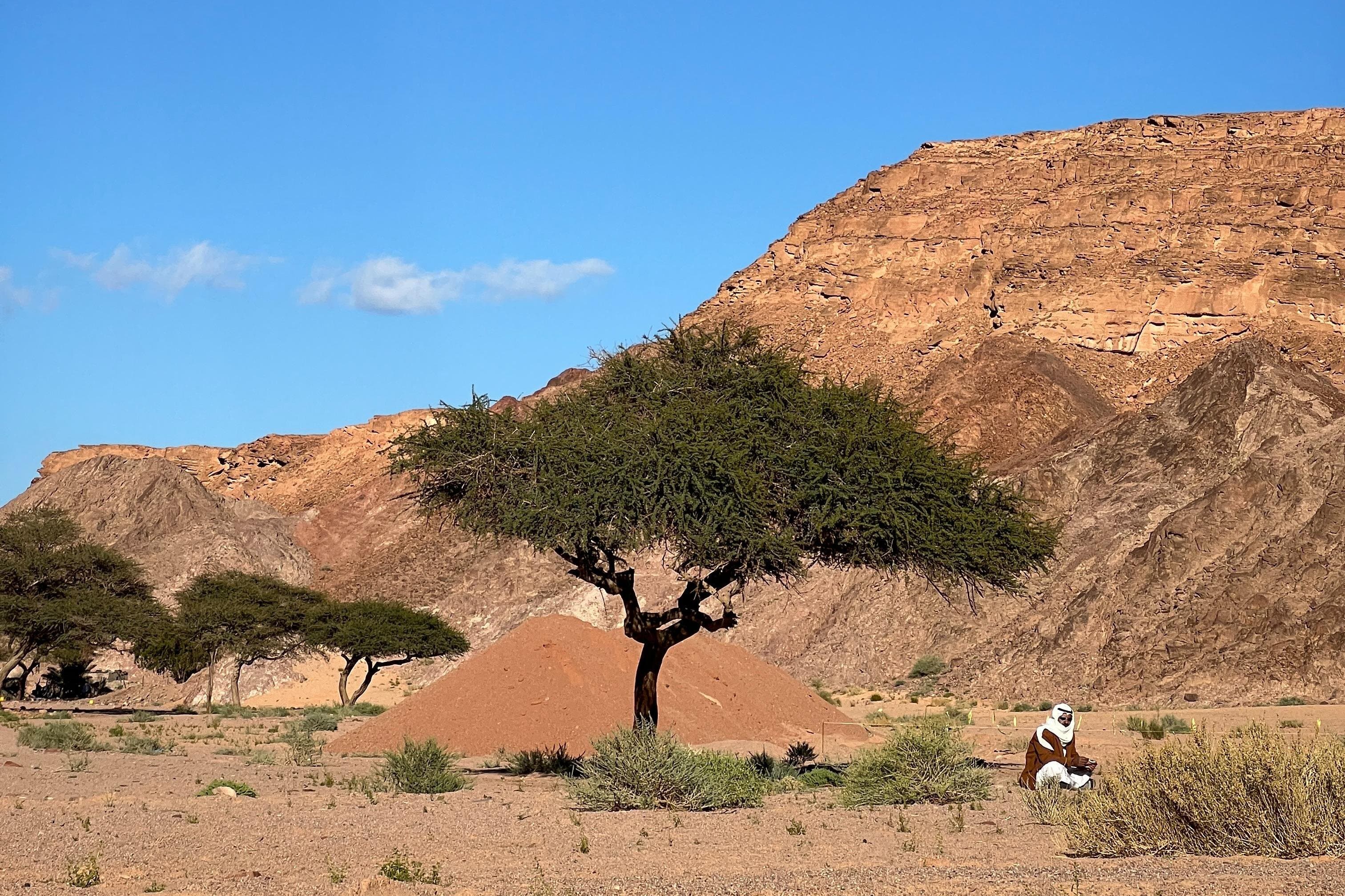Sinai Valleys One Day Hiking Tour with Guide