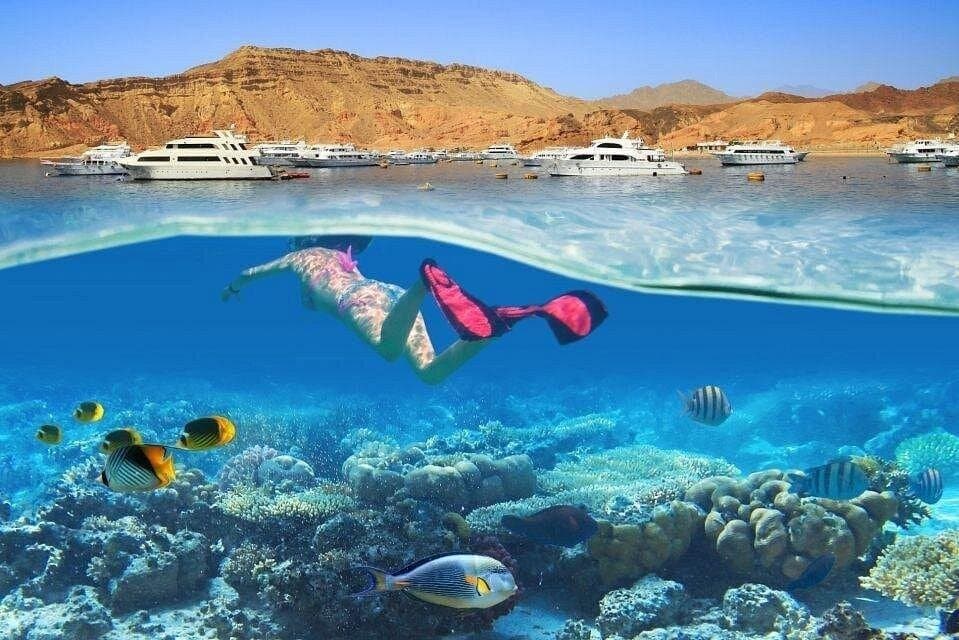 Schnorchelausflug nach White Island & Ras Mohammed in Sharm El Sheikh