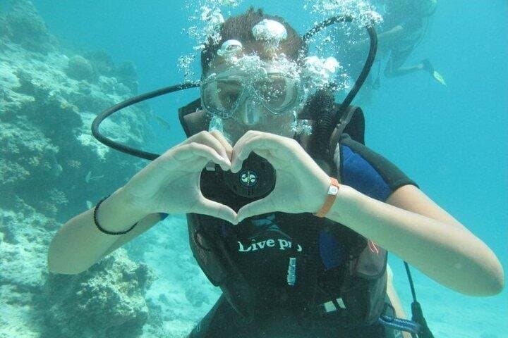 Dive Adventures: Diving Trip In Hurghada