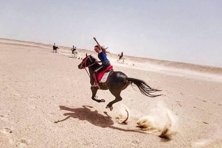 2 Hour - Horseback Ride Across Desert and Sea in Hurghada