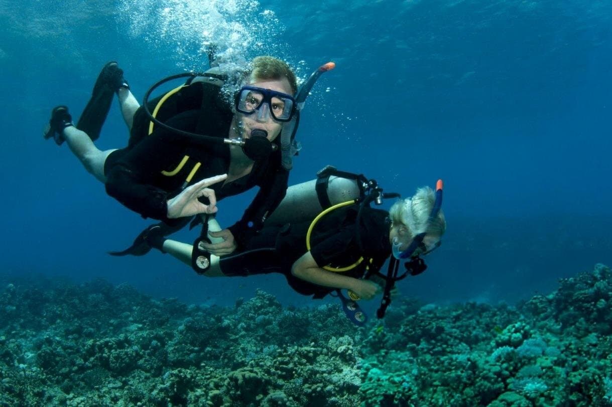 PADI Advanced Diving Course & Transfer with lunch : Marsa Alam