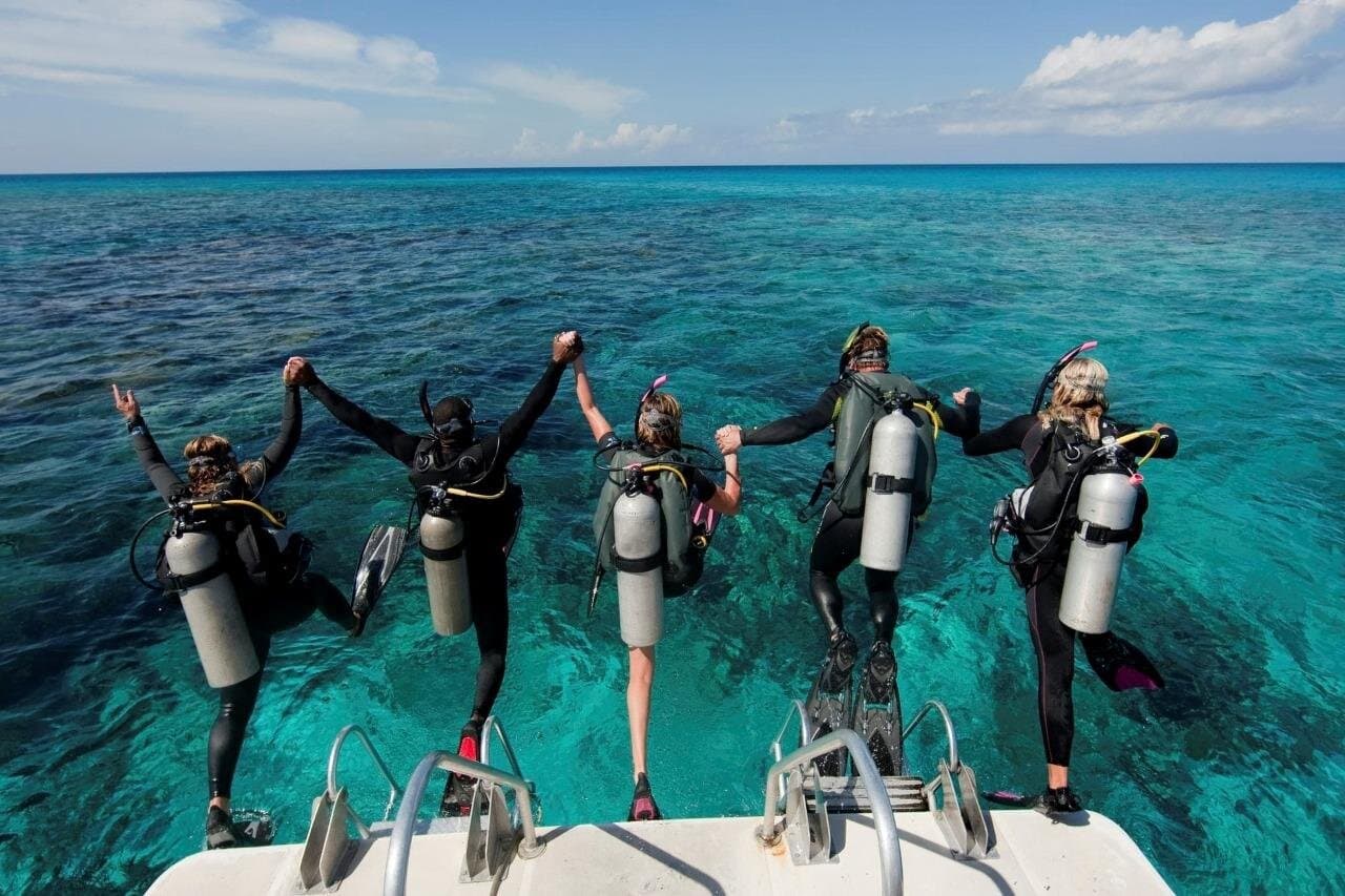 Hurghada - Professional Diving, 2 Dives, Lunch and Transfer